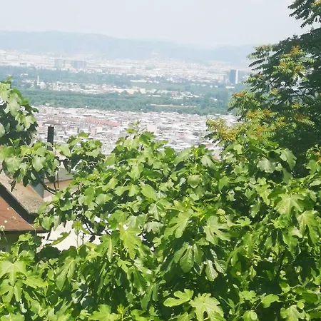 Mutluluk * Cekirge